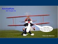 aerobatkats