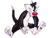 sylvester27
