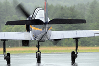 DCS_6919