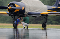 DCS_6959