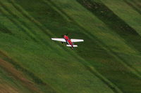 DCS_7946